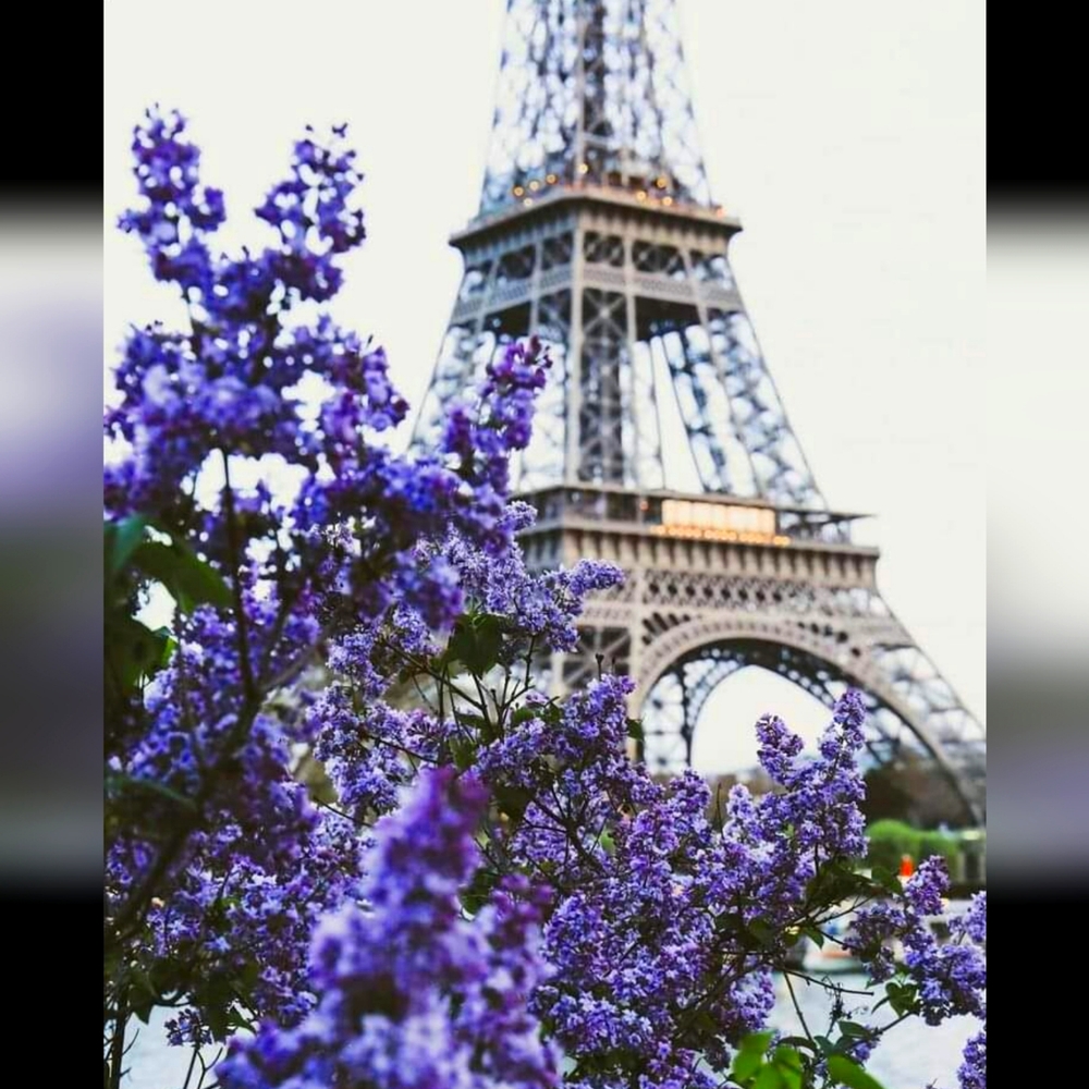 Vintage Timeless Handbags,Wallets, etc. > Mademoiselle Luxe💜🎁🛍